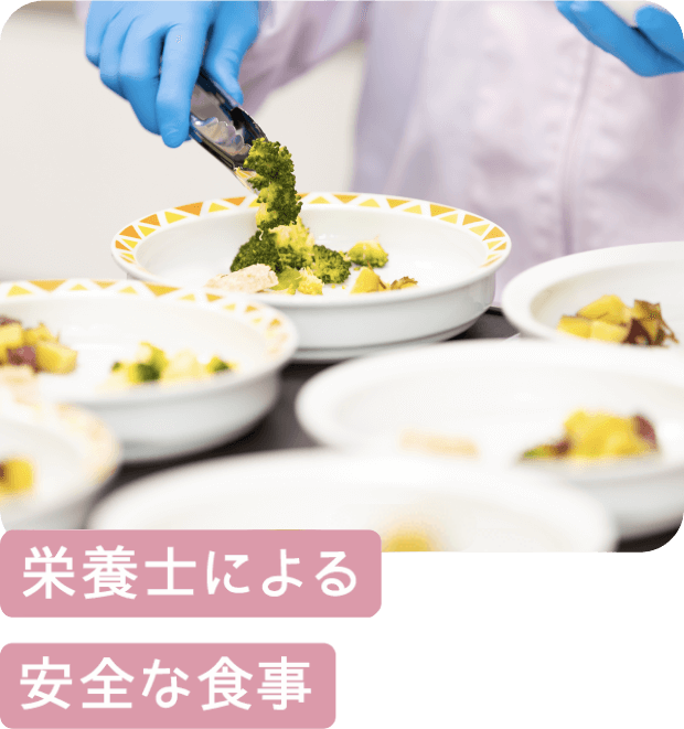 5つの特色