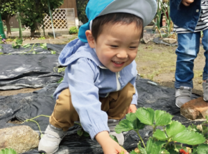 食育の取り組み。東近江市の能登川にある木育保育園。近江八幡市の安土・彦根市の稲枝からも便利。他に長浜市や栗東市にもあり。